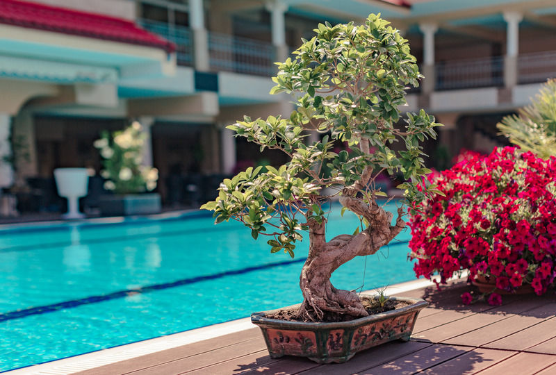 Vox Maris Grand Resort (Adults Only) Costinesti Luaran gambar